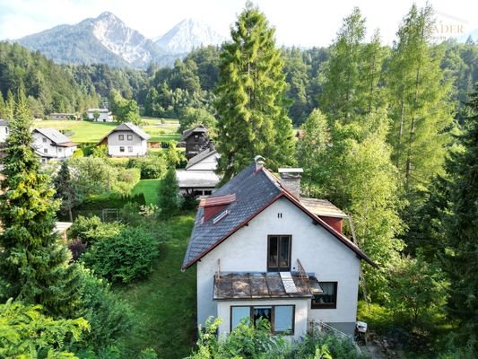 Garten mit Bergpanorama