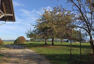 1729604197309 (002).jpg