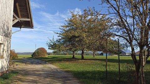 Eggenthal Bauernhöfe, Landwirtschaft, Eggenthal Forstwirtschaft