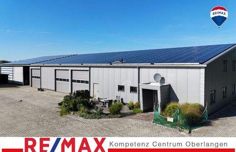 Dörpen Halle, Dörpen Hallenfläche