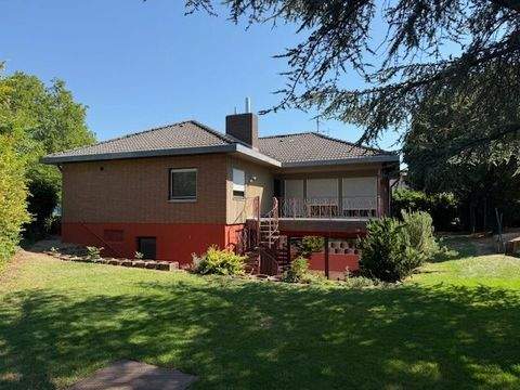 Hochdorf-Assenheim Häuser, Hochdorf-Assenheim Haus kaufen