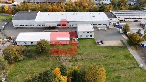 Zeulenroda-Triebes Halle, Zeulenroda-Triebes Hallenfläche