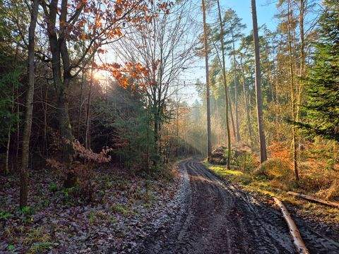 Ehekirchen Bauernhöfe, Landwirtschaft, Ehekirchen Forstwirtschaft