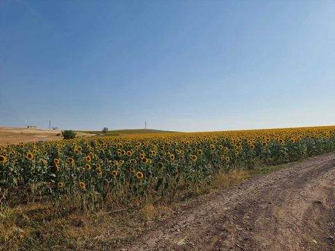 Tankovo Grundstücke, Tankovo Grundstück kaufen