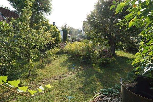 Blumenauer (c) - Titelbild