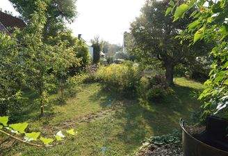 Blumenauer (c) - Titelbild