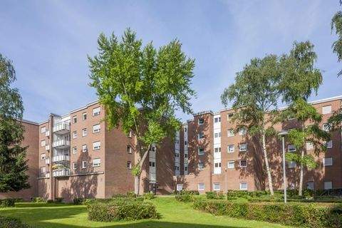 Bergheim Wohnungen, Bergheim Wohnung mieten