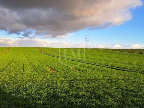 Jüchen Bauernhöfe, Landwirtschaft, Jüchen Forstwirtschaft