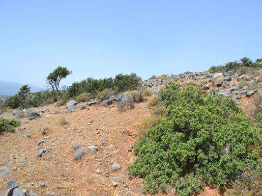 Kreta, Elounda: Großes, erstklassiges Grundstück in erster Meereslinie zu verkaufen