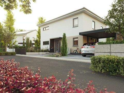 Hochdorf-Assenheim Häuser, Hochdorf-Assenheim Haus kaufen