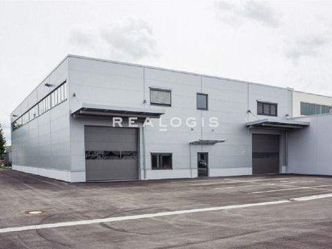 Mainz Halle, Mainz Hallenfläche