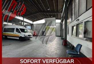 INFOS UNTER: 06171-586000