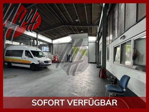 Maintal Halle, Maintal Hallenfläche