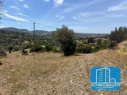 Kreta, Pitsidia: Grundstück am Ortsrand zu verkaufen