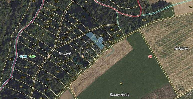Flurstück 76-1