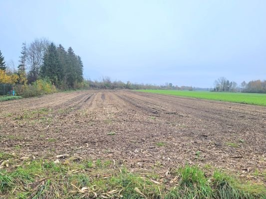 Landwirtschaftliches Grundstück