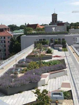 allgemeiner Dachgarten 