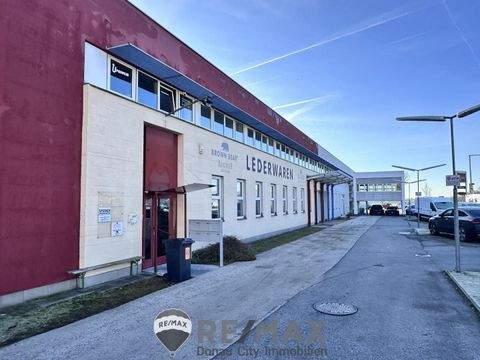 Wien Halle, Wien Hallenfläche