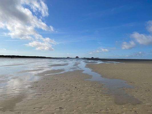 Strand von Ording - in unmittelbarer Nähe