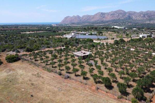 Kreta, Mouzouras: Flaches Grundstück mit Panoramablick zu verkaufen