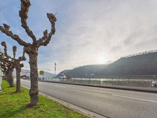 Blick vor dem Haus auf den Rhein