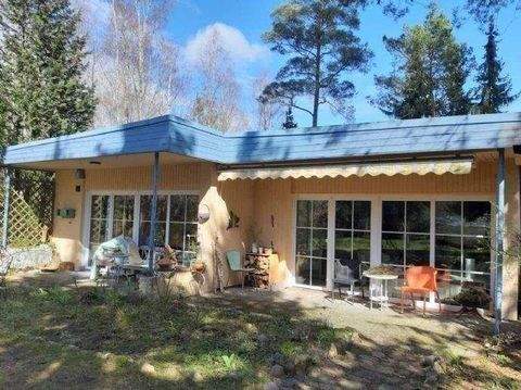 Zernien Häuser, Zernien Haus kaufen