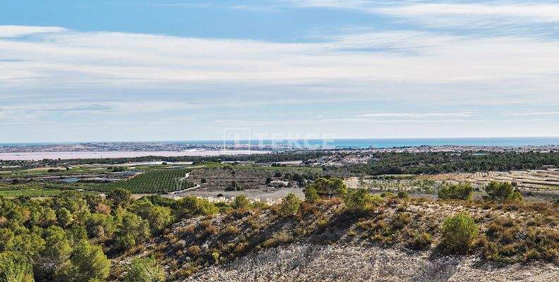 Luxurious Detached Villas with Pools in San Miguel de Salinas