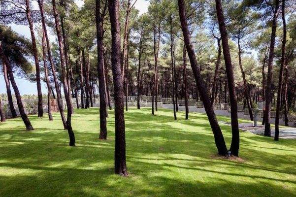 VILLA HALKIDIKI KASSANDRA