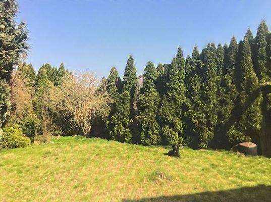 Bild_Wettesingen 17.jpeg