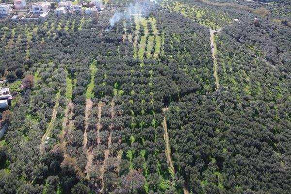 Kreta - Kaloudiana: Schönes Grundstück mit Berg- und Meerblick