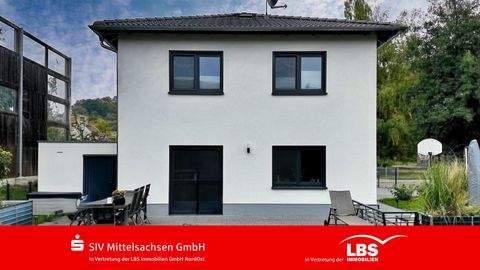 Penig Häuser, Penig Haus kaufen