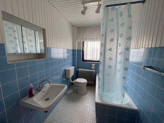 Haus-Linden-Leihgestern-Keller -Bad.JPG