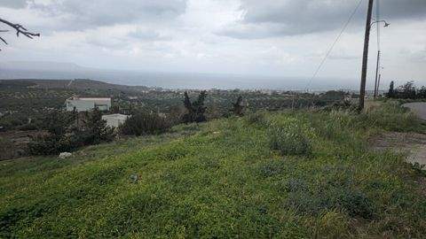 Kreta Bauernhöfe, Landwirtschaft, Kreta Forstwirtschaft