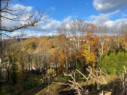 Blick nach Norden (4)