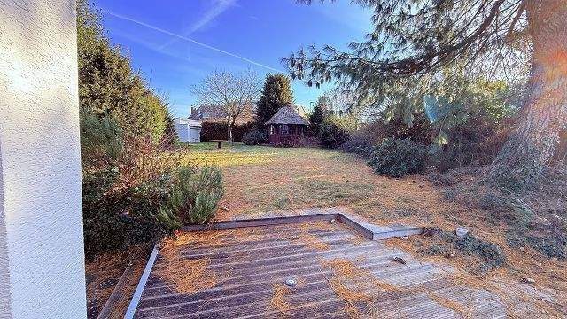 Blick zum Gartenhaus und Garage