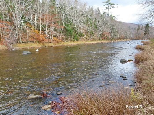 Cape Breton - Middle River - Ein Traum für Naturli