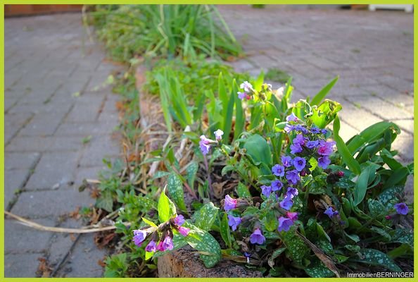 Impressionen Terrasse