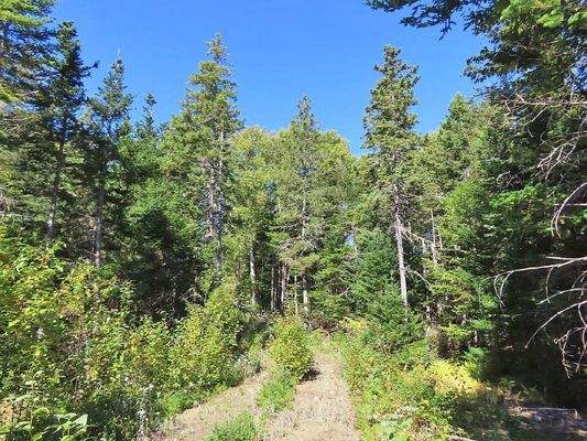 Cape Breton - Bras d`Or Lake - Tolles See-Ufergrun