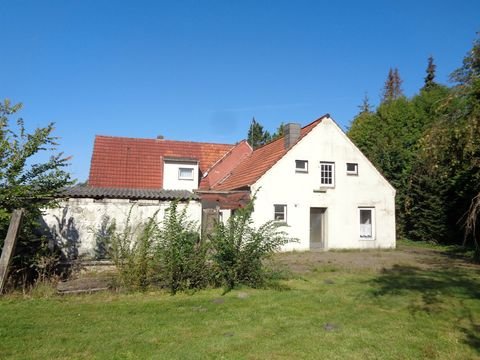 Friedeburg Häuser, Friedeburg Haus kaufen