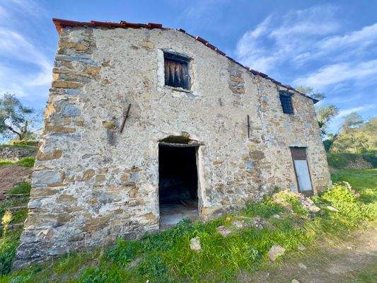 DA1013_07 TERRA ITALIA IMMOBILIEN_REAL ESTATE_FOR 