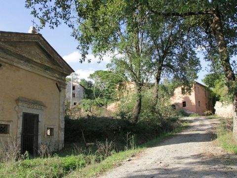 Asciano Häuser, Asciano Haus kaufen