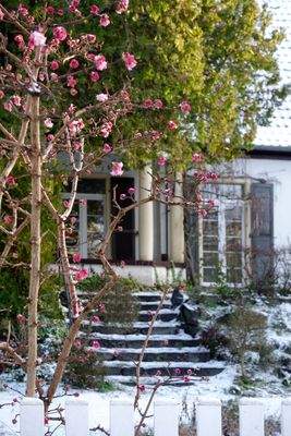 Winterstimmung im Villengarten