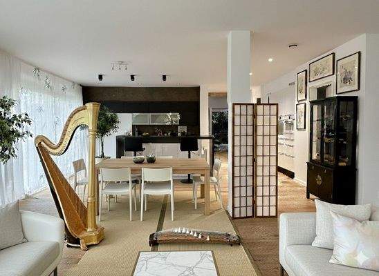 Offener wohn-Eßbereich