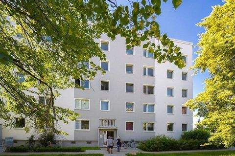 Dresden Wohnungen, Dresden Wohnung mieten