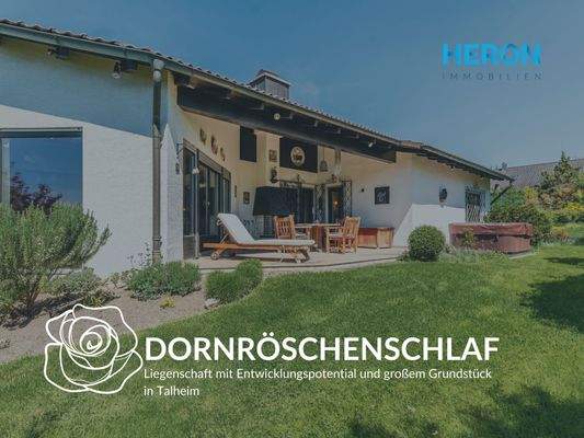 DORNRÖSCHENSCHLAF 43