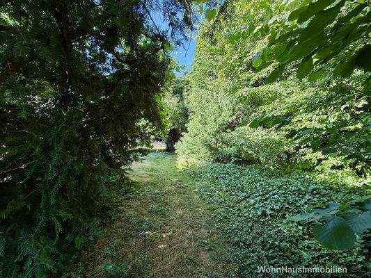 Durchgang zum vorderen Grundstücksteil