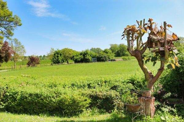 Blick von der Terrasse