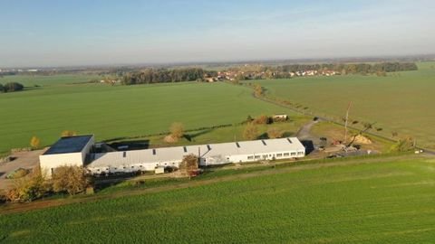Großenhain Halle, Großenhain Hallenfläche