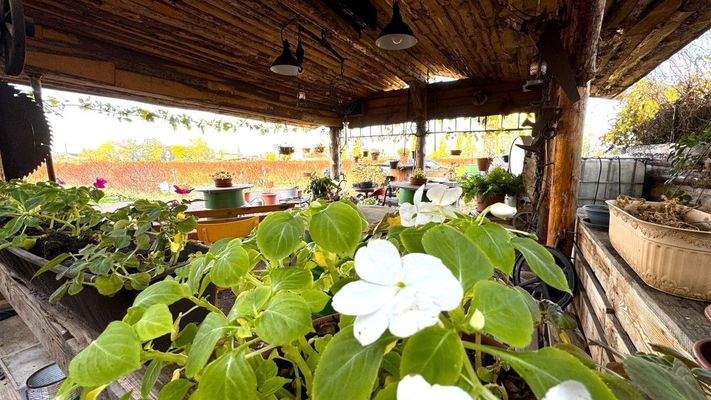 überdachter Bereich vor Verkaufshütte