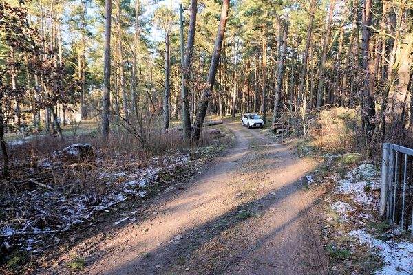 Vor dem Grundstück (1).JPG